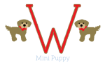 Mini Puppy Monogram  - Boy Sale