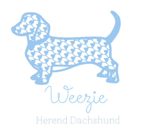 Herend Dachshund Monogram Fashion