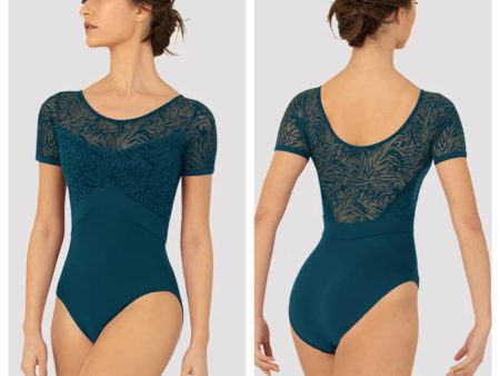 Bloch - Vienna Short Sleeve Leotard - Adult (L3392) - Deep Teal For Discount